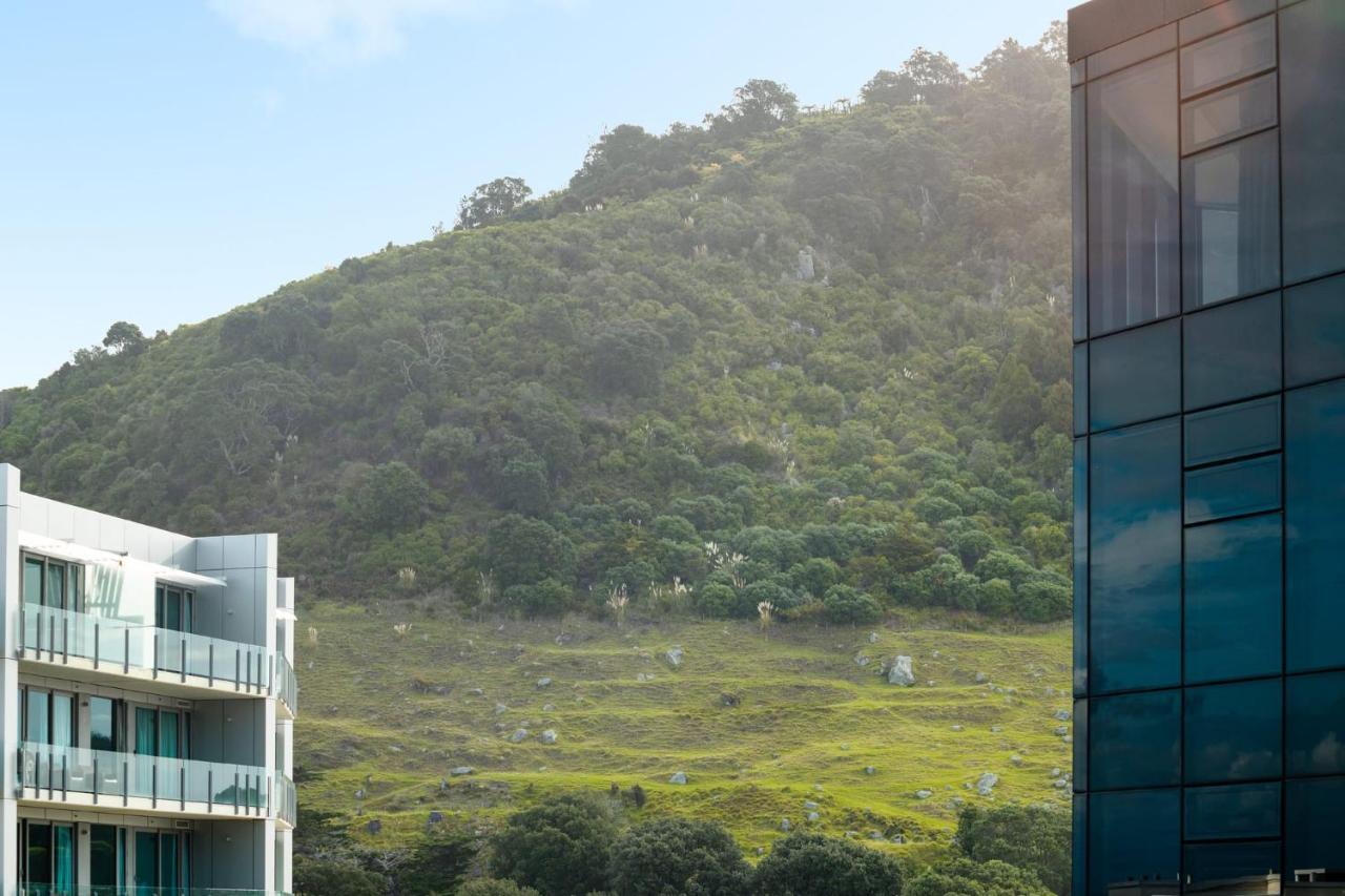 芒格努伊山Superb Elevated Views Of Harbour With Heated Pool, Gym & Parking公寓 外观 照片
